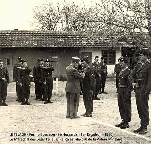 14- M.d.L. Tadeusz Palica